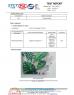 Xiamen GoodPartner Umbrella Co., Ltd Certifications