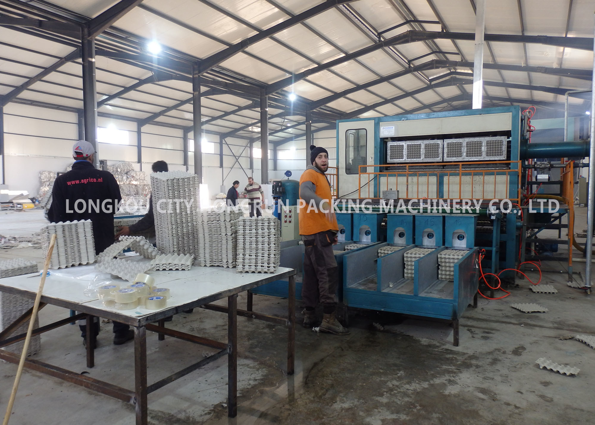 Quality Pulp Molding Process Paper Egg Tray Machine Capacity 6000PCS / H for sale