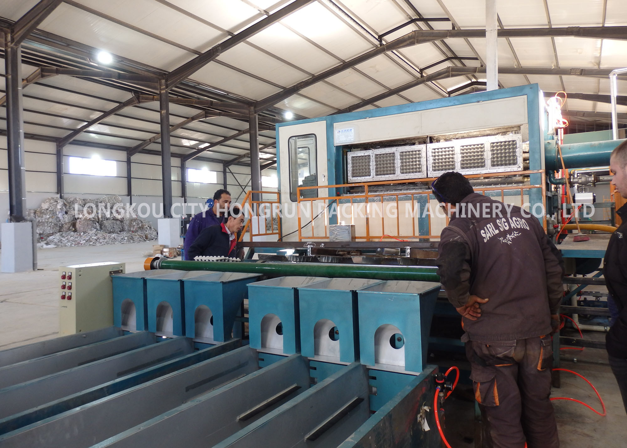 Quality Full Automatic Egg Tray Making Machine Large Capacity High Efficiency for sale