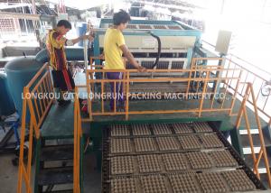 Quality BV TUV Automatic Egg Tray Machine  Rotary Type Pulp Molding Machine for sale