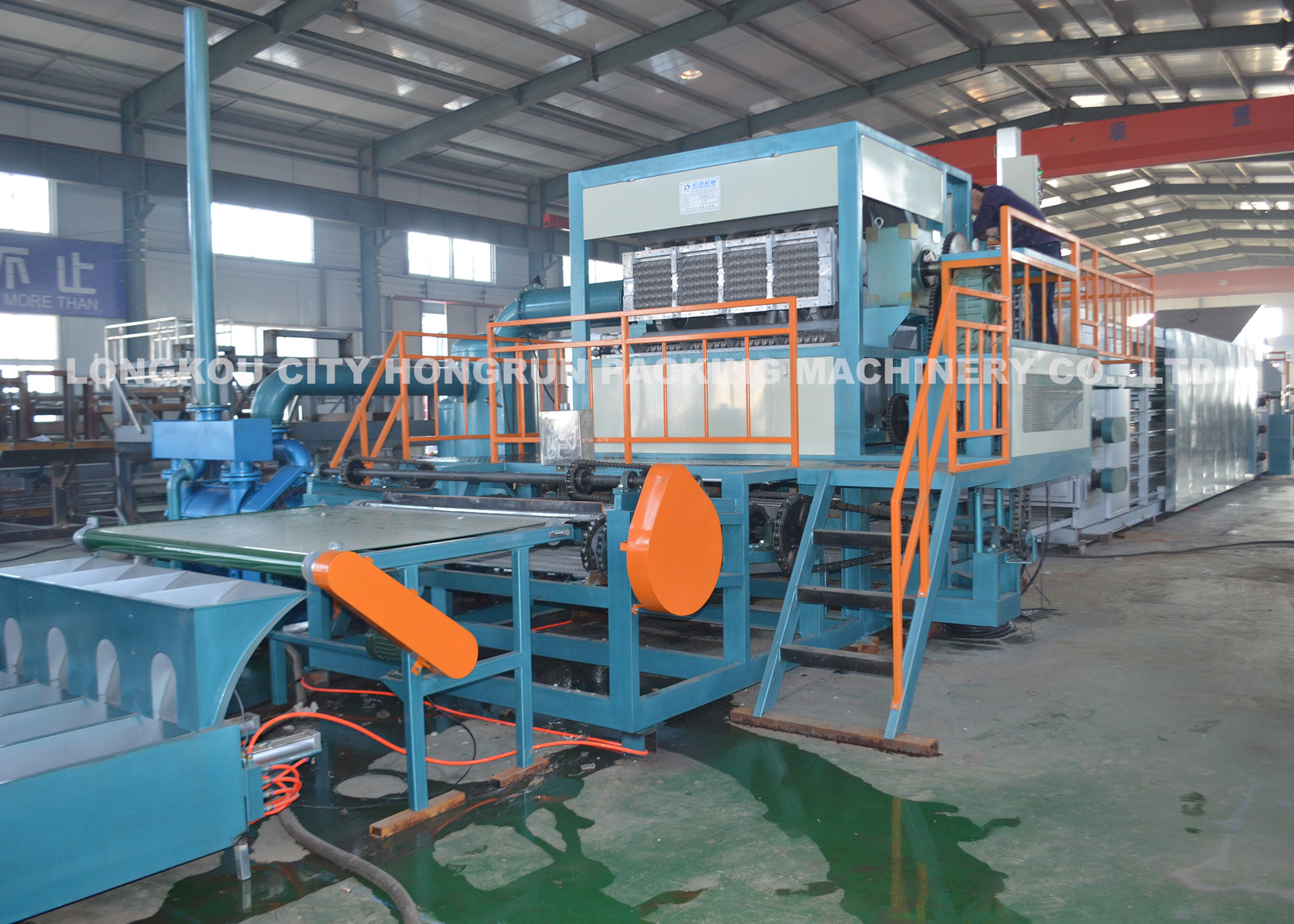 Quality Rotary Paper Pulp Molding Machine , Paper Egg Tray Making Machine for sale