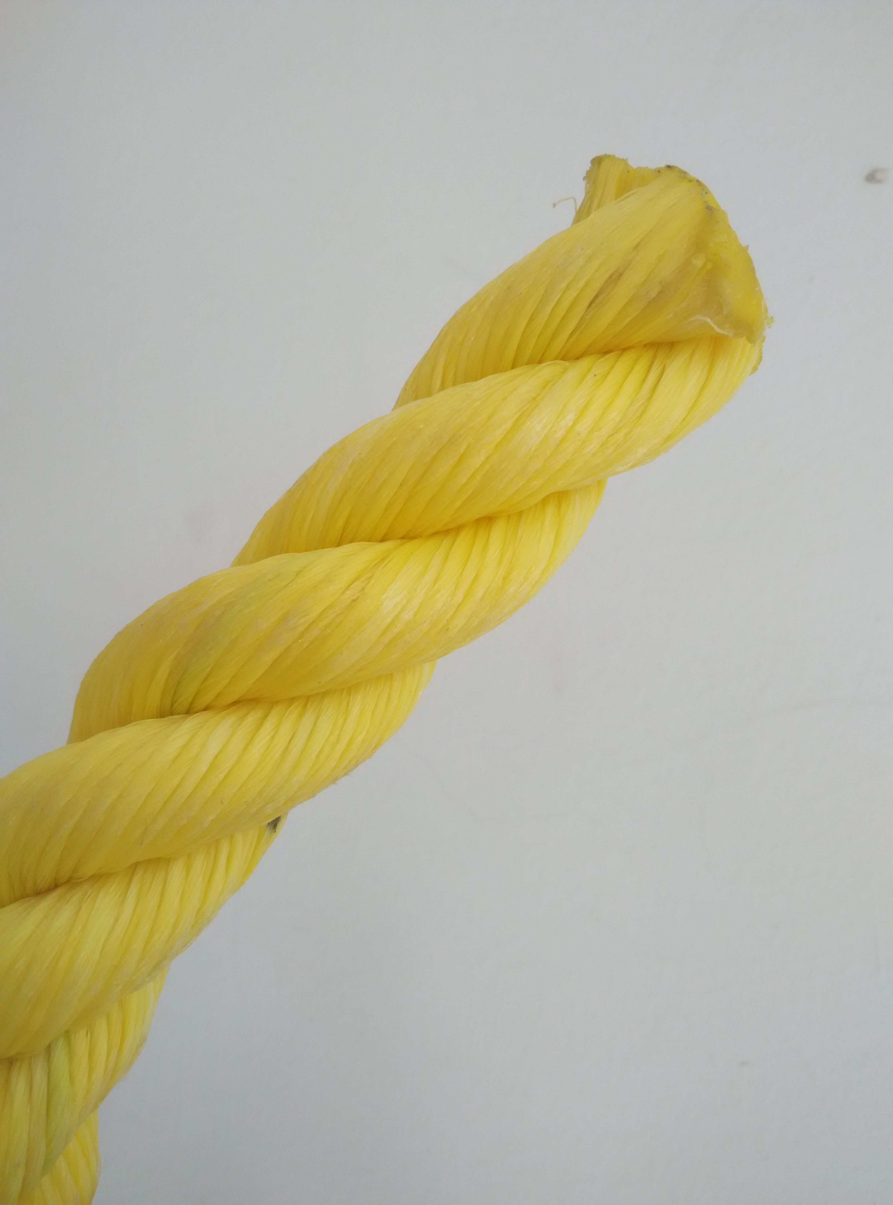 Buy cheap POLYESTER ROPE from wholesalers