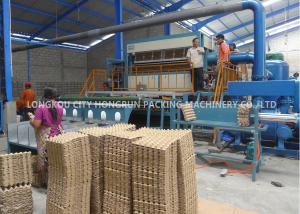 Quality Fully Automatic Chicken Farm Pulp Egg Tray Machine With Multilayer Drying Line for sale
