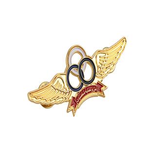 Quality 50mm Pilot Wing Badge for sale