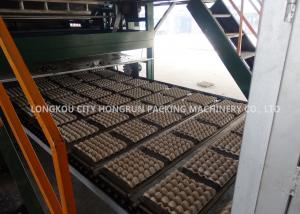 Quality 220V Automatic Egg Tray Machine With Multi - Layer Dryer Capacity 5000pcs / H for sale