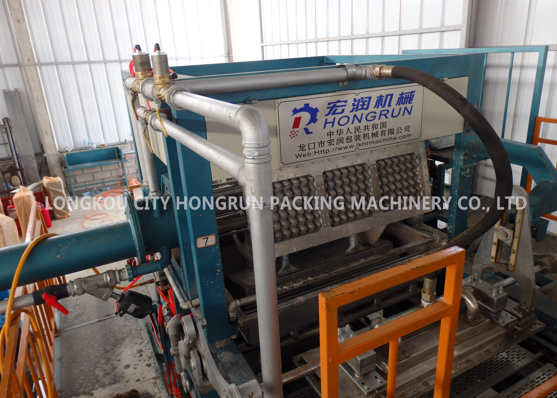 Quality 2000PCS / H Chicken Pulp Egg Tray Making Machine With CE Certification for sale
