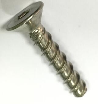 Quality SS Torx Slotted Concrete Flange Head Screws 10.9 Class Alloy Steel Material for sale