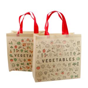 Quality Non Woven Shopping PLA Gift Bag for sale