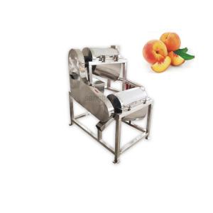 Quality Ss304 Vegetable and Pineapple Mango Juice Fruit Pulping machine for sale
