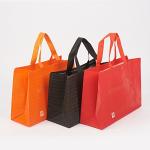 Durable Laminated Heavy Duty Nonwoven Bag