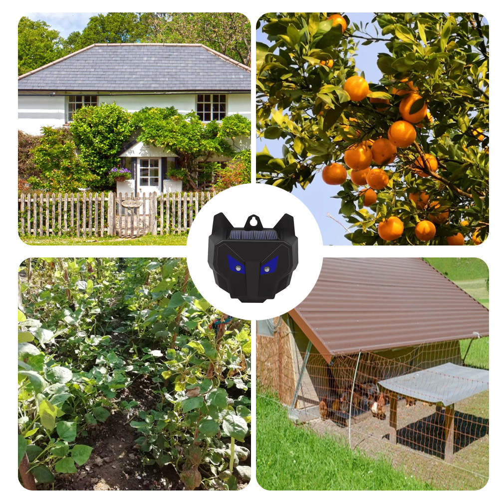 Solar Powered Red LED Lights Cockroach Trap and Raccoon Deterrent for Home Perimeter