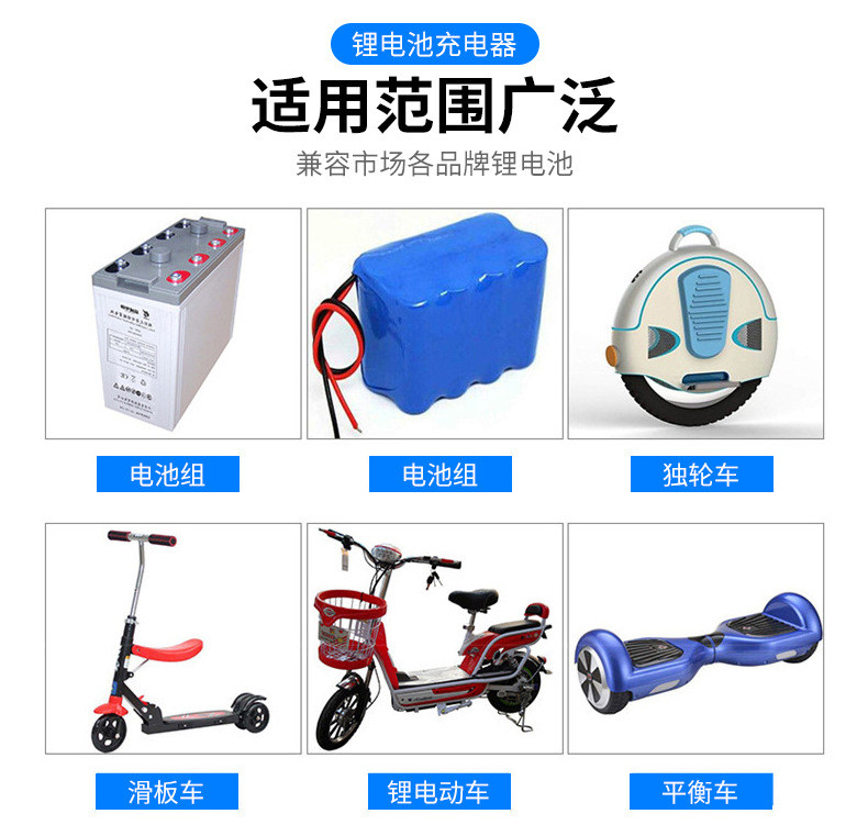 Lithium Ion 48v Battery Charger Lithium Battery Charger 24v Automatic Smart Car Lifepo4 Lithium Ion 12/