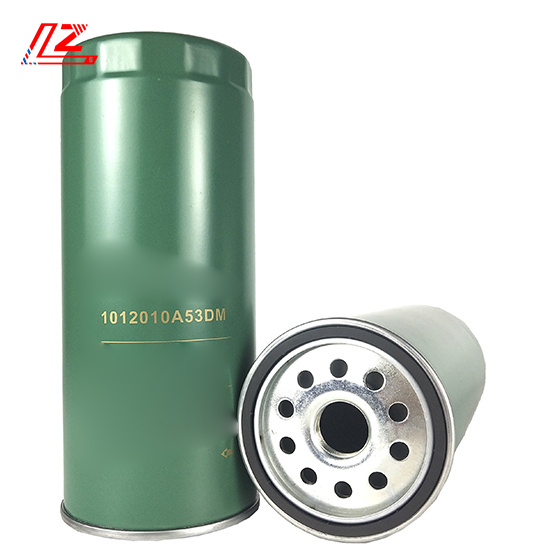 Video Technical Support After Service Rotary Car Oil Filter Cartridge 1012010A53DM
