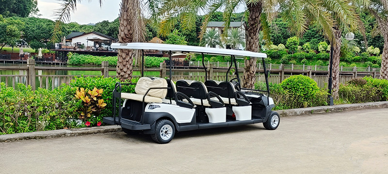 Excar 8 Seats Special Body Design Sightseeing Car With Flip-Flap Seat