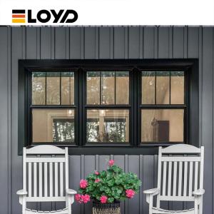 Quality Custom Double Single Hung Window with Low-E Glass for sale