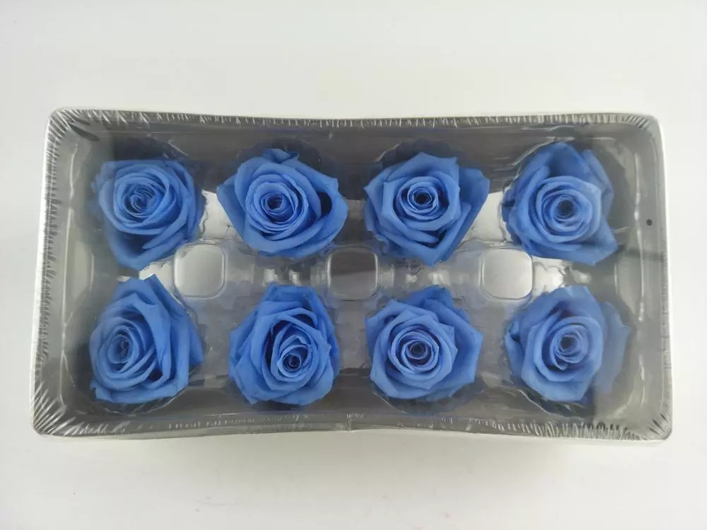 Ecuador Roses Diy Preserved Rose Head Gold Covered Roses rose gold rose