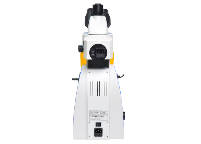 LED Trinocular Upright Fluorescence Microscope with B & G Fluorescence Filter