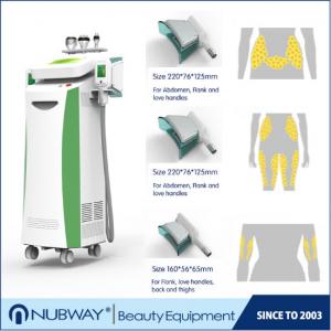 China 13 years experience manufacturer semiconductor + water + air cooling system slimming fat freezing cryolipolysis machine on sale