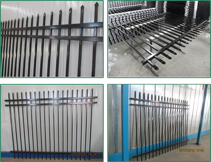 Garden Permanent Coating Wrought Iron Dog Fence 2.4x2m