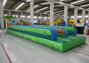 Quality Attractive Inflatable Bungee Jump / Runway , Kindergarten Baby Bungee Run Bounce House for sale