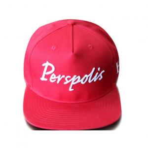 China Baseball caps Flat brim hip hop hat 3D embroidered branded gift supplier youth fashion flexfit adult size marketing hat on sale