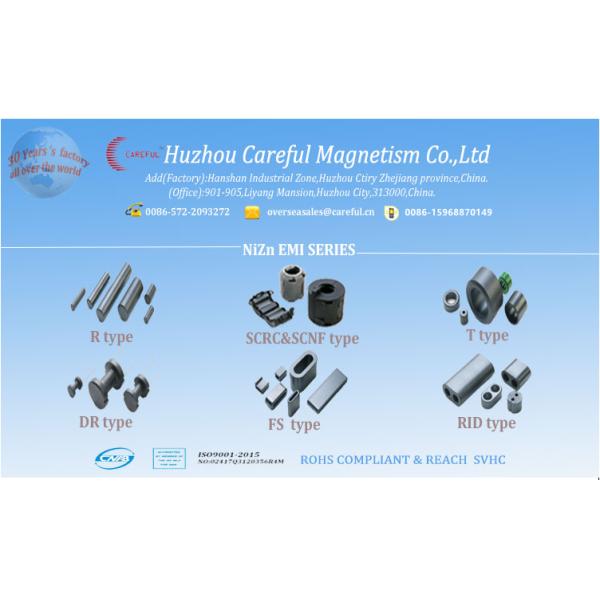 2 Pins NiZn Material DR2W5*7 Ferrite Drum Core Power Filter Coil 10pcs Free Sample