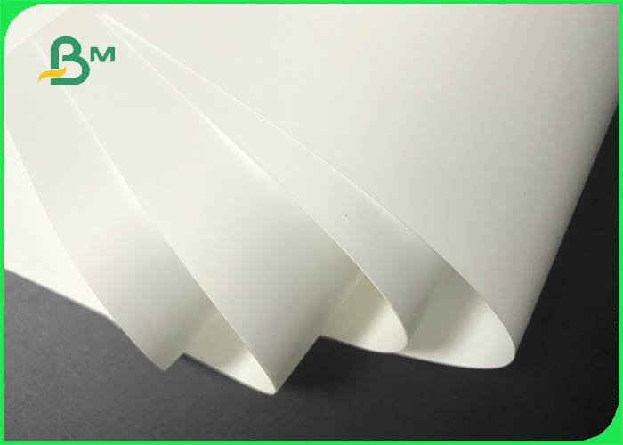 synthetic paper 
