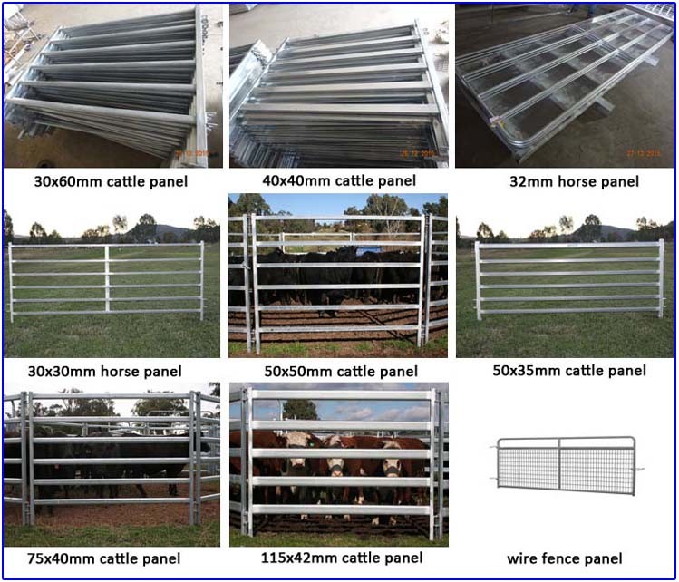 Livestock panels / Cattle panels 1.6m x 2.1m hot dipped galvanized aus standard