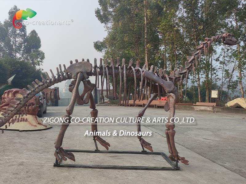 CE Jurassic Park Dinosaur Skeleton Replica Shunosaurus Skeleton weather reistance
