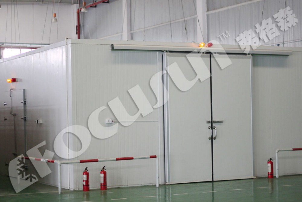 Energy-Saving Cold Rooms for Fruit and Vegetables Convenient Frozen Food Storage