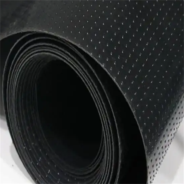 Double-Sided Column Point Geomembrane for Slope Protection and 0.3mm-2.8mm Thickness