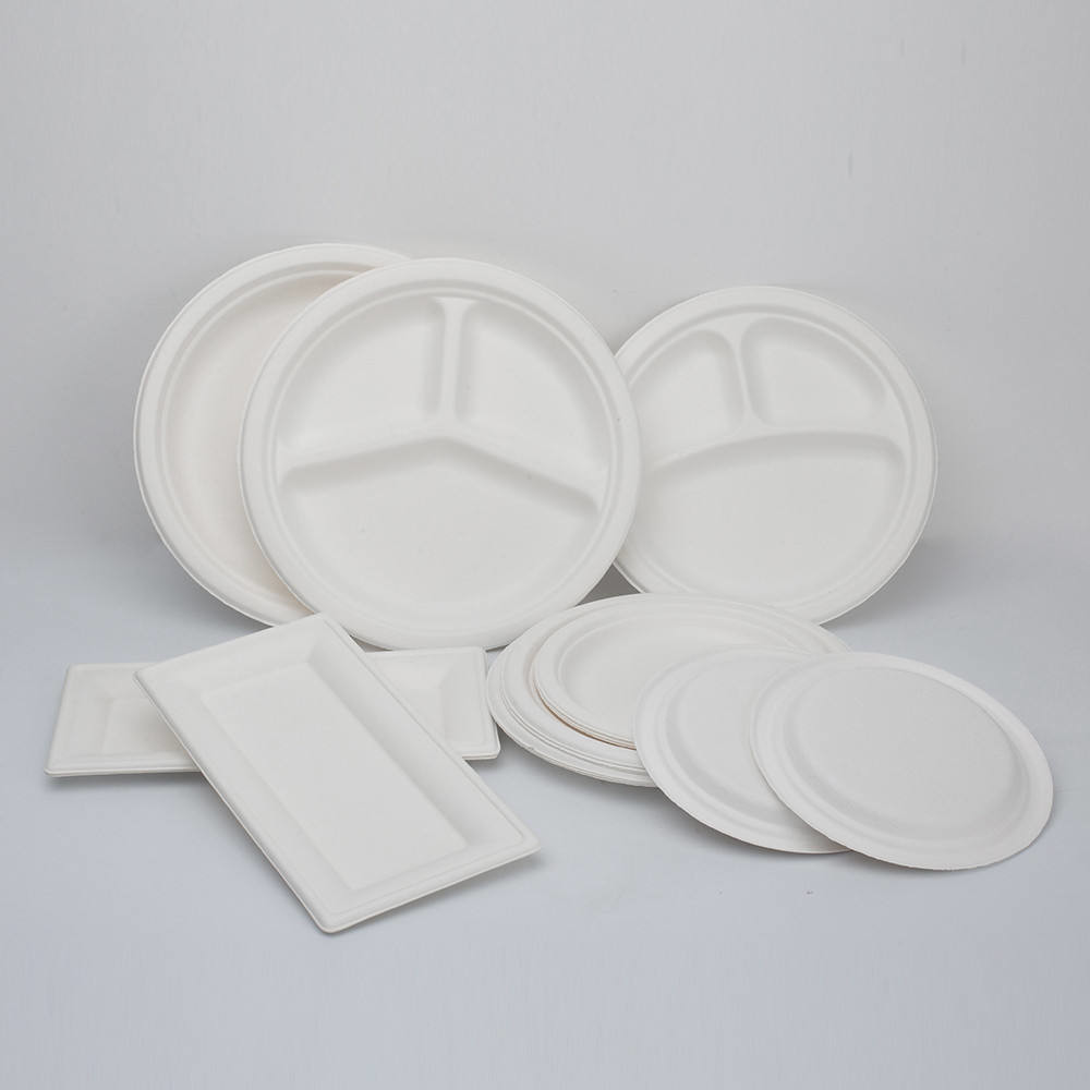 PFAS Free Disposable Eco-friendly Sugarcane Bagasse Large Oval Pulp Plates