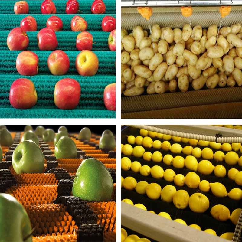 Tufted Bristle Custom Industrial Brushes Cylindrical Fruit Polishing Cleaning Brush Roller
