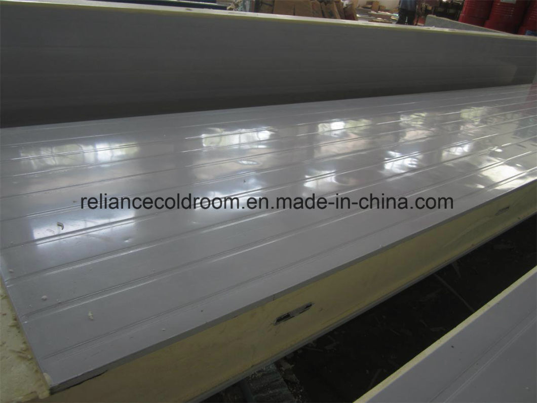 Cold Storage with 5 Years Quality Warranty