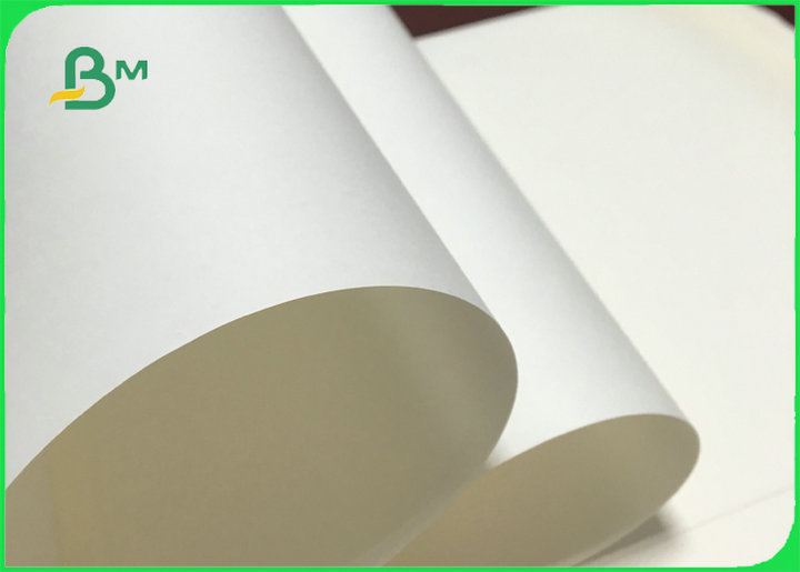 70gsm 80gsm Uncoated Offset Printing Paper for School Book Size Customized