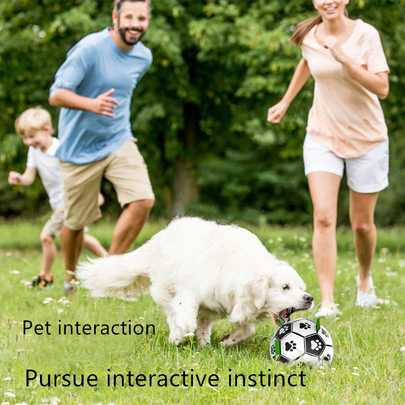Amazon Pet Educational Toys Plush Gnawing Molars Interactive Training Dog Pet Supplies