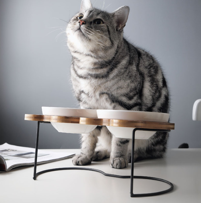 Elevated Ceramic Dog Cat Bowls for Food and Water