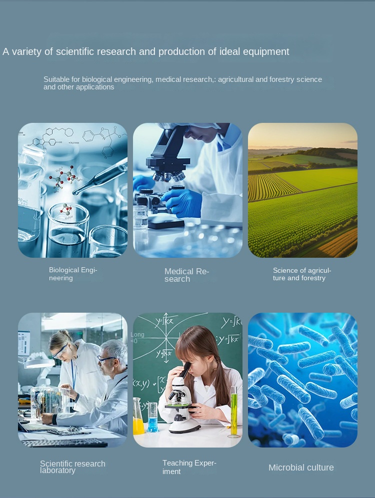 Customized Artificial Climate Incubator with Light - Hot Sale for BOD Testing, Microbiology, Plant Growth & Mold Culture
