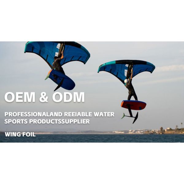 load 100kg 4.5M Parawing wind surfing kite wing Customer's Logo Wind Foil Paraglider