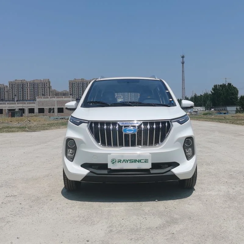 China Good Quality Mini Electric Vehicle Wholesales Cheap Price Electric Vehicle Manufacturer