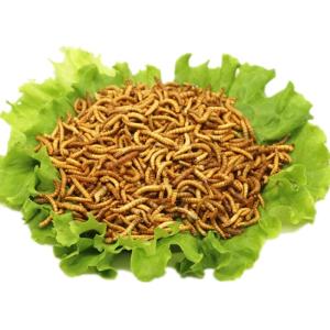 Quality Origin Premium Dried Mealworms - Fast &amp; Free Shipping for sale