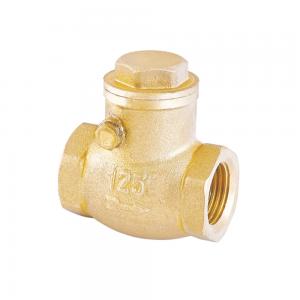 Quality Rustproof One Way Water Check Valve 32mm 22mm Non Return Valve for sale