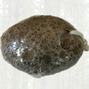 China Egg shaped volcano pumice stone ,pumice stone on sale