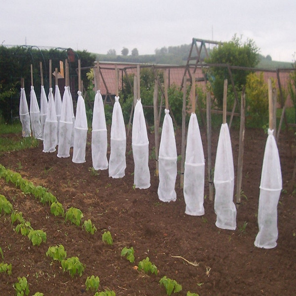 White Ground Cover Weed Control Fabric Lightweight Non Toxic For Fruit Trees