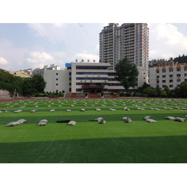 Durable False Turf Playground Soccer Synthetic Grass Environment Friendly