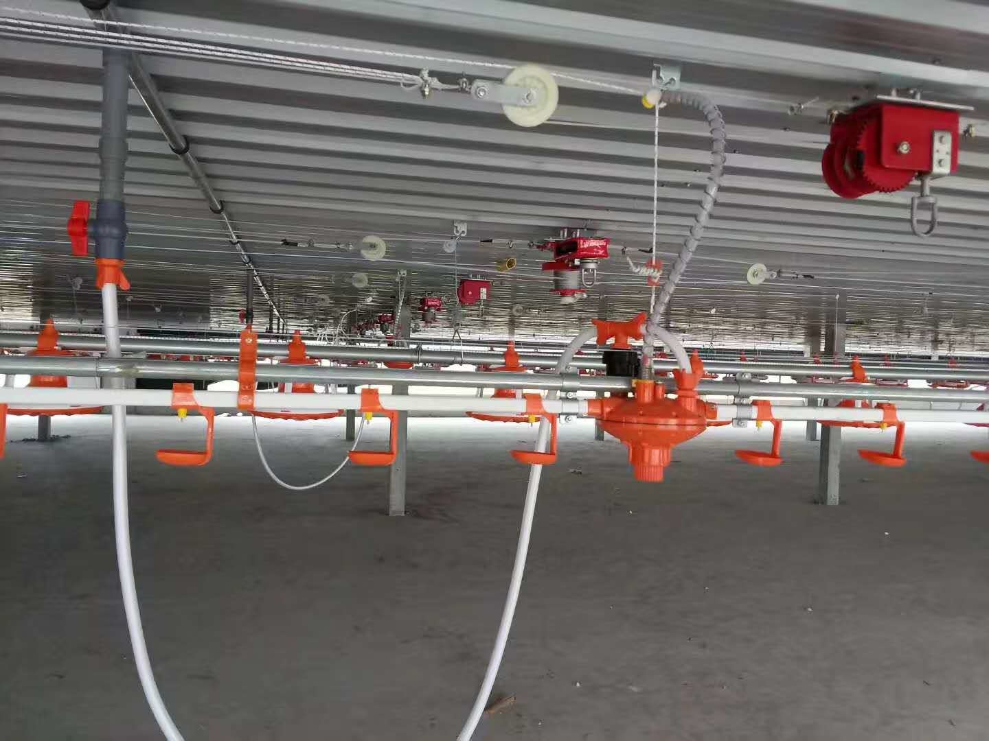 22mm Automatic Drinker Cup System