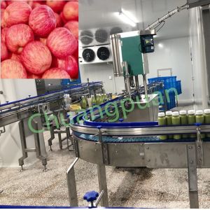 Quality Fully Automated Apple Juice Processing Line 380V 50Hz for sale