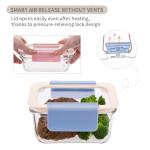 High Borosilicate Glass Food Container with 2-Lock PP Lid