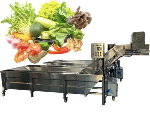 Quality Anti Erosion Fruit Vegetable Washing Machine 50Hz For Industrial for sale
