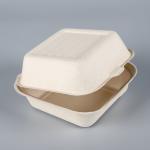 biodegradable disposable sugarcane bagasse takeaway food container packaging